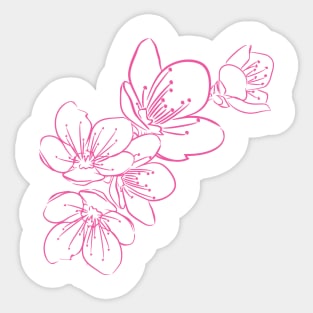 White Cherry Blossoms Sticker